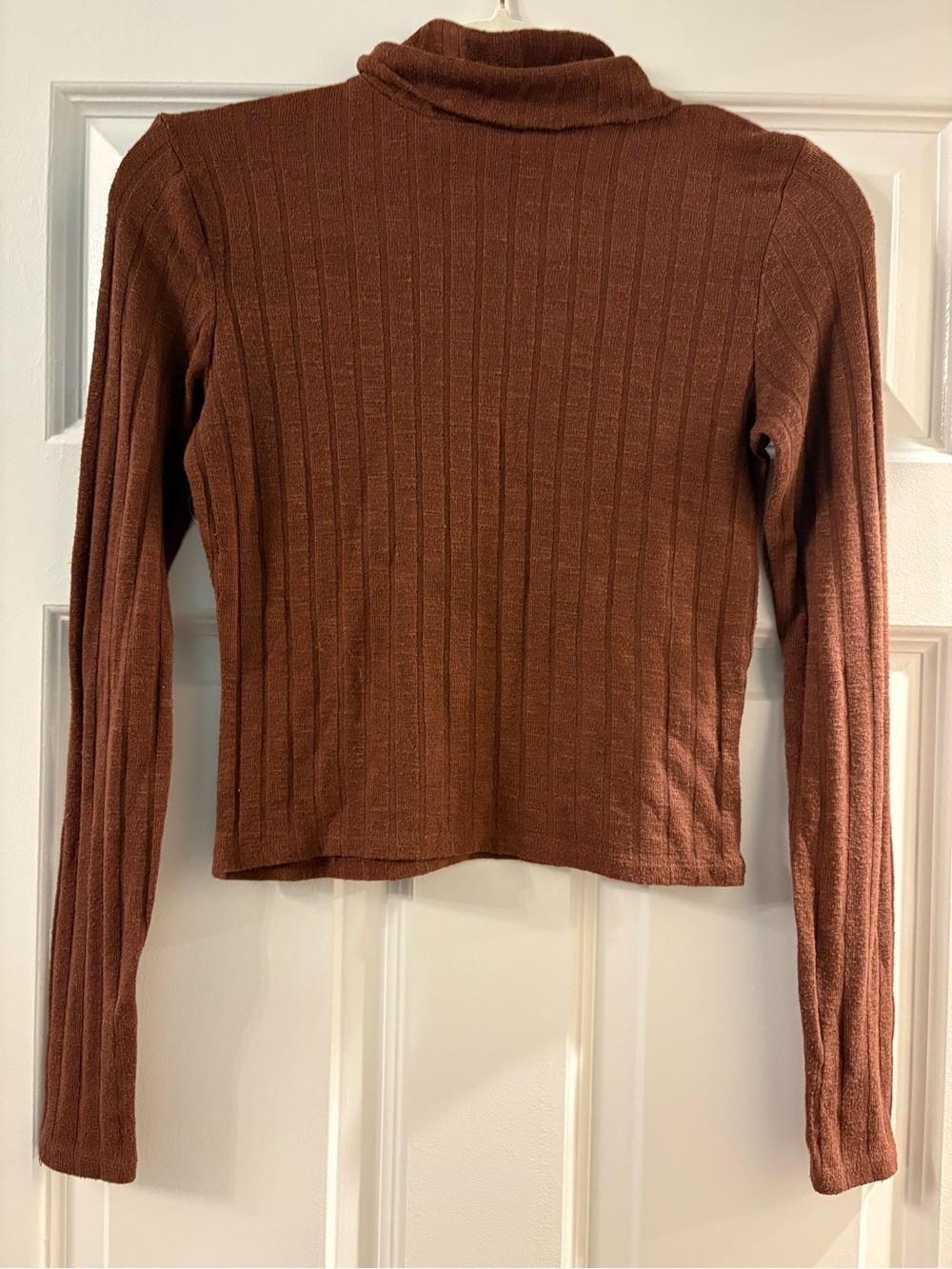 Ribbed Long-Sleeve Turtleneck Top in Brown